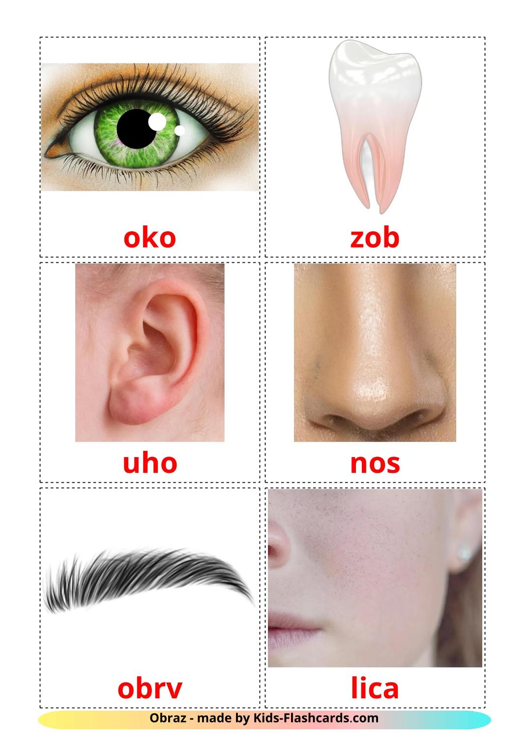 Face - 20 Free Printable slovenian Flashcards 