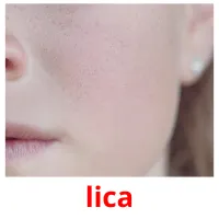 lica picture flashcards