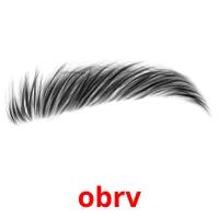 obrv picture flashcards