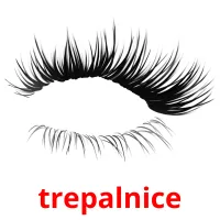 trepalnice picture flashcards