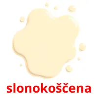 slonokoščena cartes flash