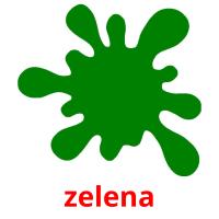 zelena picture flashcards
