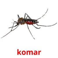 komar cartões com imagens