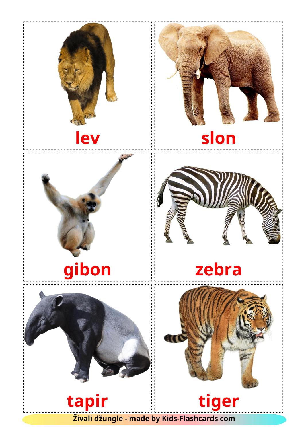 Животные африки - 21 Карточка Домана на словенском