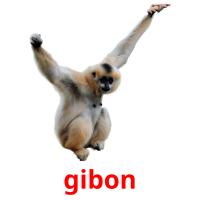gibon card for translate
