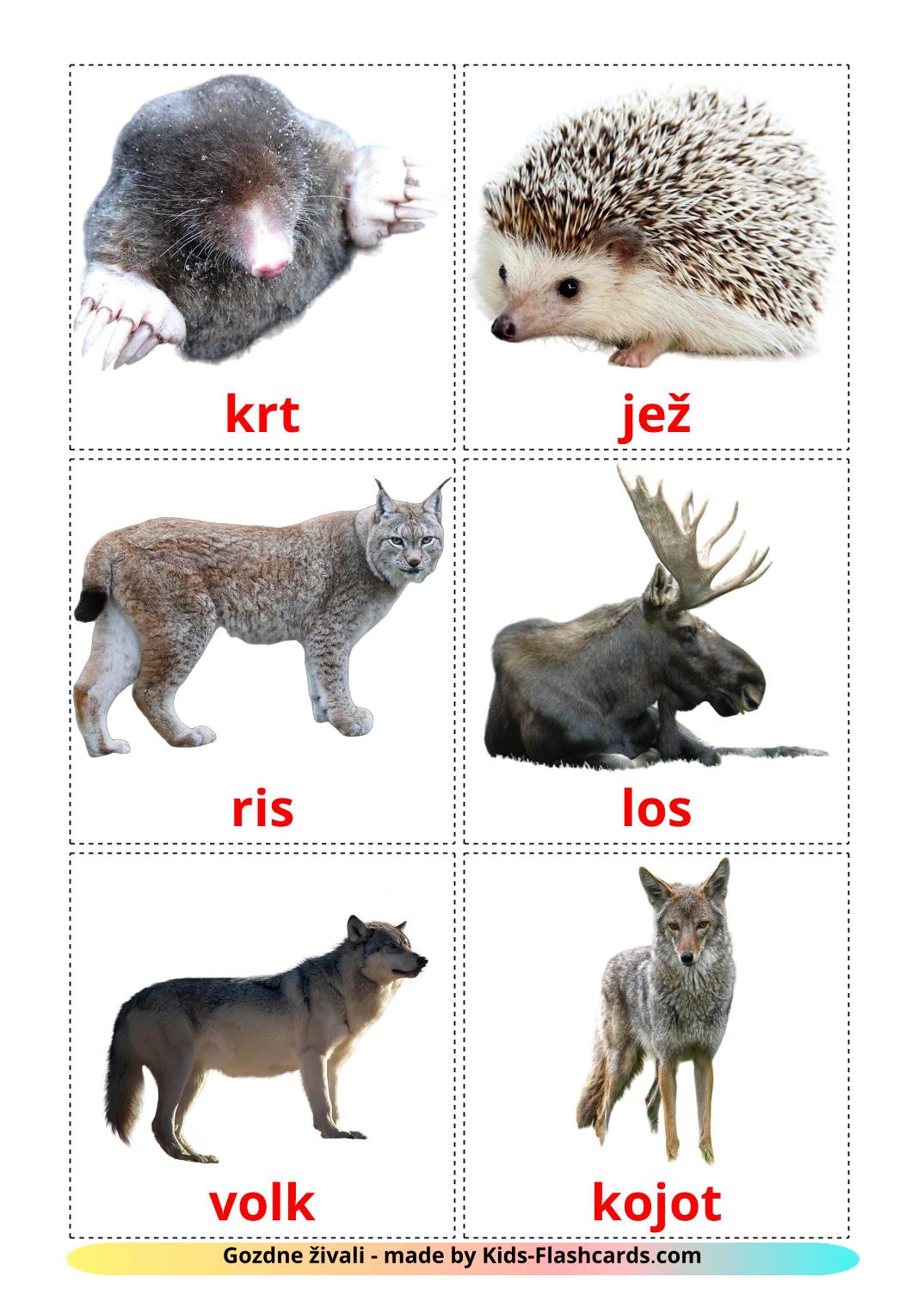 Les Animaux de la Forêt - 22 Flashcards slovène imprimables gratuitement