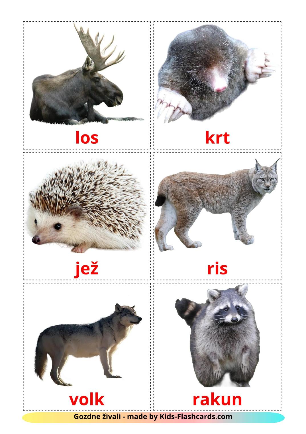 Forest animals - 23 Free Printable slovenian Flashcards 