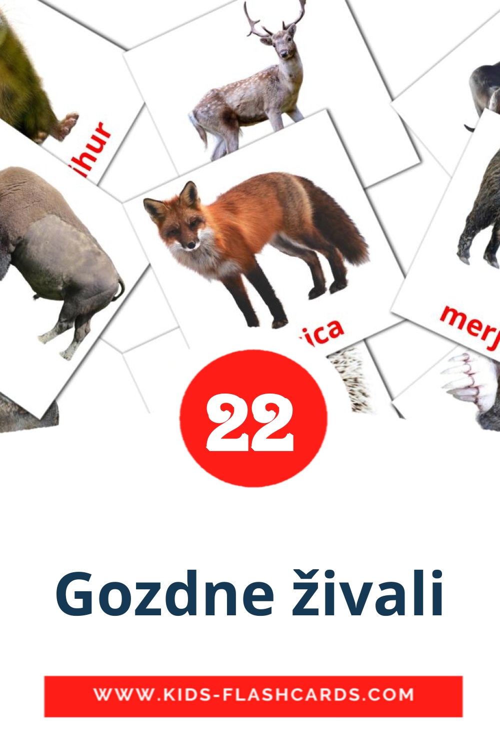 22 cartes illustrées de Gozdne živali pour la maternelle en slovène