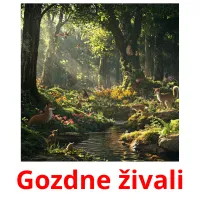 Gozdne živali picture flashcards