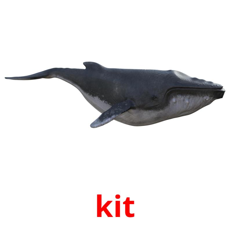 kit picture flashcards