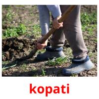 kopati picture flashcards