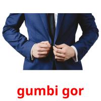 gumbi gor flashcards illustrate