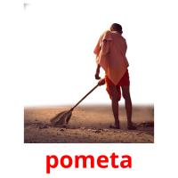 pometa flashcards illustrate