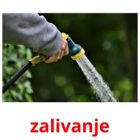 zalivanje ansichtkaarten