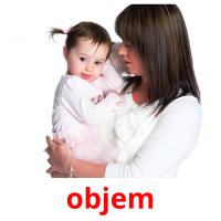 objem picture flashcards