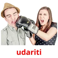 udariti picture flashcards