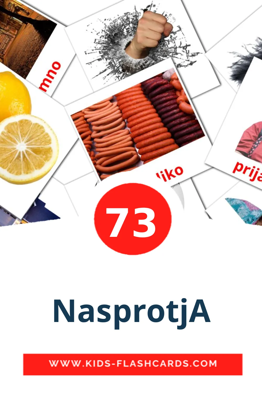 73 NasprotjA Picture Cards for Kindergarden in slovenian