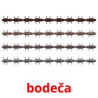 bodeča picture flashcards
