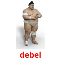 debel picture flashcards