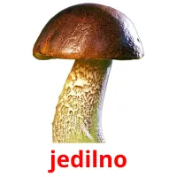 jedilno picture flashcards