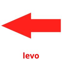 levo card for translate