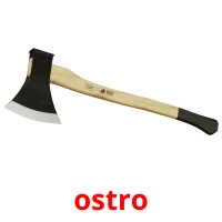 ostro picture flashcards