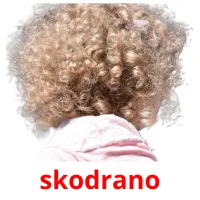 skodrano picture flashcards