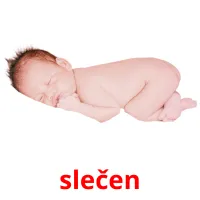 slečen picture flashcards