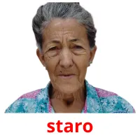 staro picture flashcards