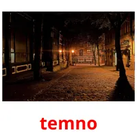 temno picture flashcards