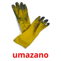 umazano picture flashcards