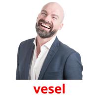 vesel picture flashcards