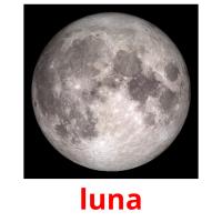 luna picture flashcards