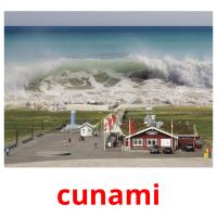cunami picture flashcards