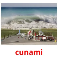 cunami ansichtkaarten