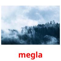 megla picture flashcards