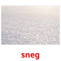 sneg picture flashcards