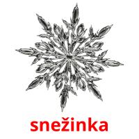 snežinka picture flashcards