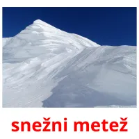 snežni metež ansichtkaarten