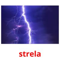 strela picture flashcards