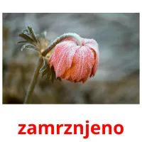 zamrznjeno ansichtkaarten