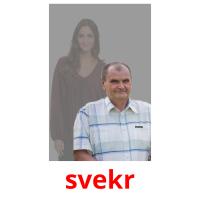 svekr picture flashcards