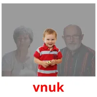 vnuk picture flashcards