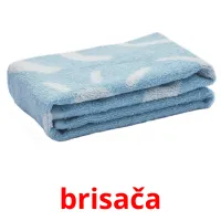 brisača picture flashcards