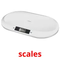 scales picture flashcards