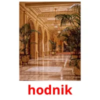 hodnik flashcards illustrate