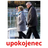 upokojenec Bildkarteikarten