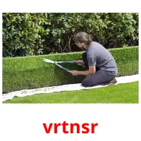 vrtnsr Bildkarteikarten