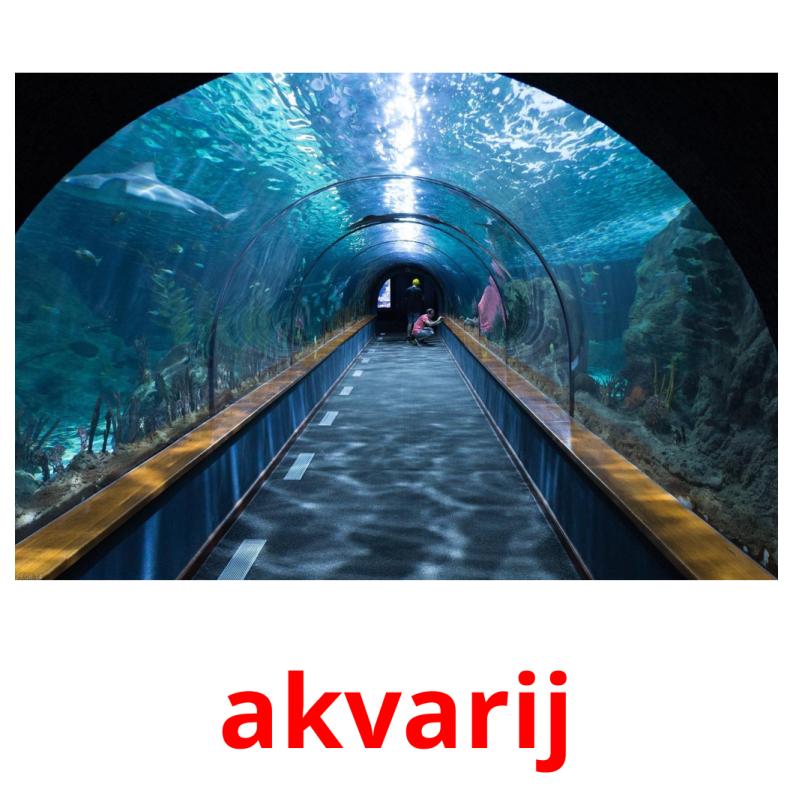 akvarij flashcards illustrate
