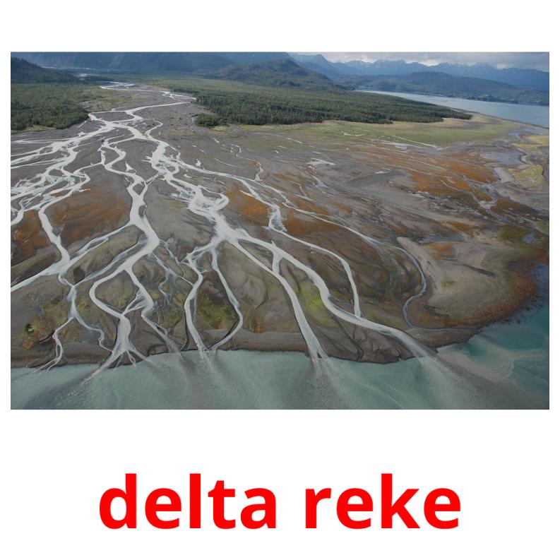 delta reke picture flashcards
